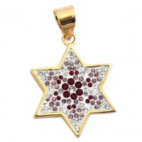 Ruby and Zircon Star of David Pendant